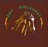 kiplangat.gnomio.com